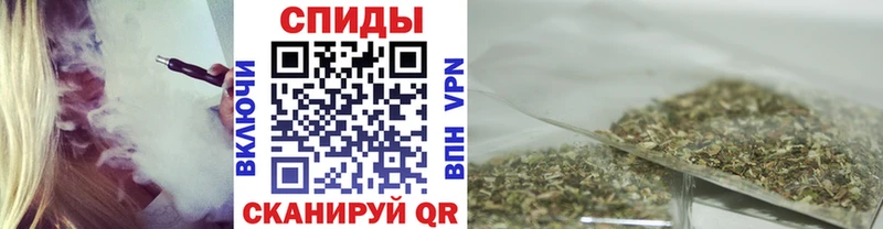 где найти   Великие Луки  БУТИРАТ BDO 