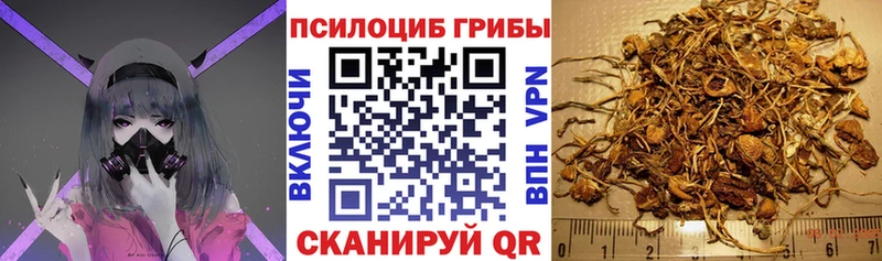 Галлюциногенные грибы ЛСД  Великие Луки 